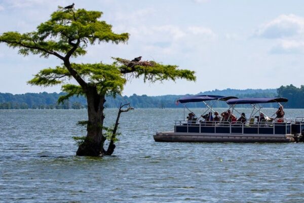 Premium-10-Passenger-Single-Story-Pontoon-Boats-image-1